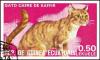 Colnect-4974-012-Kaffir-Cat-Felis-silvestris-catus.jpg