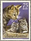 Colnect-5043-391-Cat-and-two-kittens.jpg