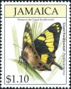 Colnect-5271-710-Jamaican-Giant-Swallowtail-Papilio-homerus.jpg