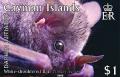 Colnect-598-093-Fruit-Bat-Stenoderma-sp.jpg