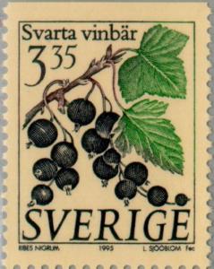 Colnect-164-842-Blackcurrant-Grosellas---Ribes-nigrum.jpg