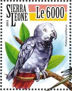 Colnect-3565-970-Grey-Parrot%C2%A0-%C2%A0Psittacus-erithacus.jpg
