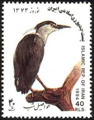 Colnect-1460-717-Black-crowned-Night-heron-nbsp-Nycticorax-nycticorax.jpg