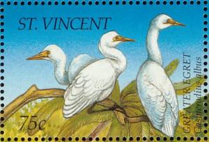 Colnect-1755-604-Great-Egret-Egretta-alba.jpg
