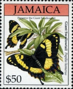 Colnect-3690-158-Jamaican-Giant-Swallowtail-Papilio-homerus.jpg