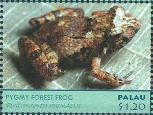 Colnect-4992-724-Pigmy-Forest-Frog-Platymantis-pygmaeus.jpg