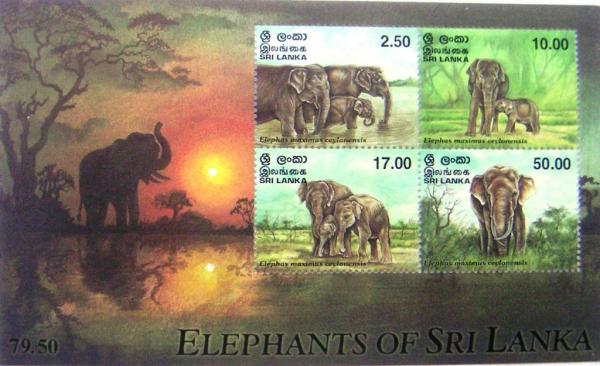 Colnect-528-283-Ceylon-Elephant-Elephas-maximus-ceylonensis.jpg