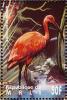 Colnect-2375-997-Scarlet-Ibis-Eudocimus-ruber.jpg