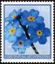 Colnect-5263-577-Alpine-forget-me-not-Myosotis-alpestris.jpg