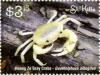Colnect-6317-473-Huang-Ze-gray-crab.jpg