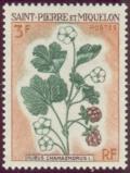 Colnect-875-169-Rubus-Chamaemorus.jpg
