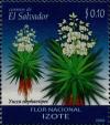 Colnect-2682-309-Yucca-elephantipes.jpg