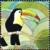 Colnect-5531-832-Toucan-facing-right.jpg