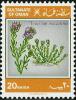 Colnect-870-877-Teucrium-mascatense.jpg
