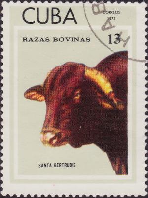 Colnect-1948-400-Santa-Gertrudis-Bos-primigenius-taurus.jpg