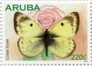 Colnect-3122-339-Pale-Clouded-Yellow-Colias-hyale.jpg