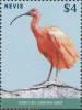 Colnect-4412-949-Scarlet-Ibis-Eudocimus-ruber-perched-on-rock.jpg