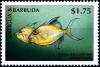 Colnect-4105-276-Queen-triggerfish.jpg