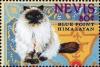 Colnect-4411-422-Blue-point-Himalayan.jpg