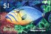Colnect-4611-737-Queen-triggerfish.jpg