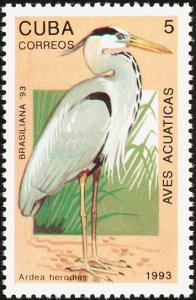 Colnect-3570-056-Great-Blue-Heron-Ardea-herodias.jpg
