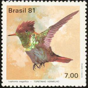 Colnect-712-896-Frilled-Coquette-Lophornis-magnificus.jpg