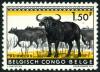 Colnect-4439-941-African-Buffaloes-Syncerus-caffer.jpg