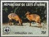 Colnect-1738-692-Zebra-Duiker-Cephalophus-zebra.jpg