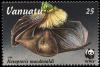 Colnect-4974-358-Long-tailed-Fruit-Bat-Notopteris-macdonaldi.jpg