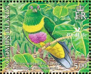 Colnect-3742-540-Yellow-bibbed-Fruit-Dove-Ptilinopus-solomonensis.jpg