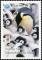 Colnect-5217-129-Adult-penguin-in-a-creche-of-chicks.jpg