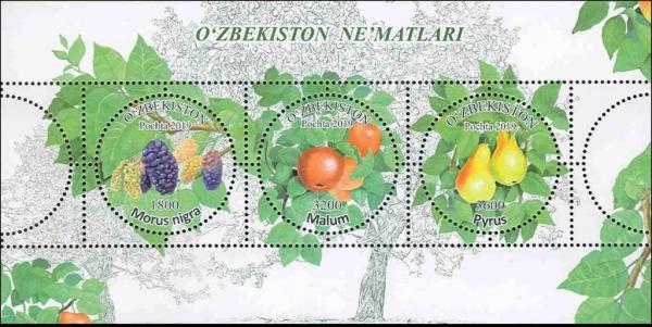 Colnect-5970-598-Fruits-of-Uzbekistan.jpg