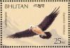 Colnect-1720-397-Bearded-Vulture-Gypaetus-barbatus.jpg