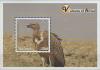 Colnect-5414-241-Vultures-of-Africa.jpg