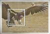 Colnect-5985-285-Vultures-of-Africa.jpg