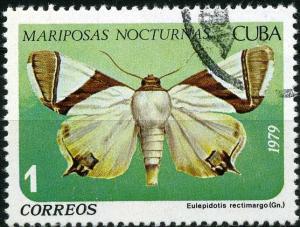 Colnect-1393-908-Moth-Eulepidotis-rectimargo.jpg