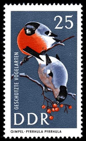 Colnect-1974-958-Eurasian-Bullfinch-Pyrrhula-pyrrhula.jpg