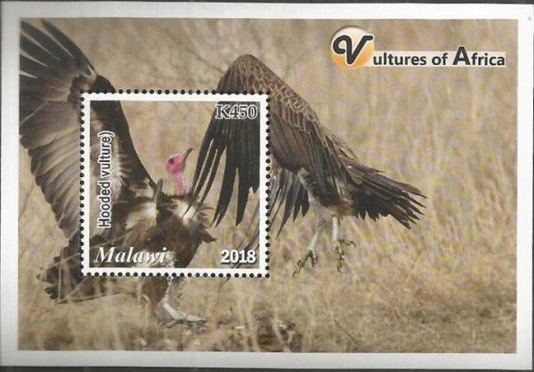 Colnect-5985-286-Vultures-of-Africa.jpg