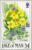 Colnect-124-658-Primula-vulgaris-Viola-riviniana-.jpg