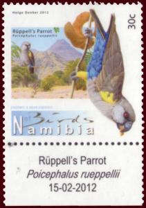 Colnect-1732-053-R-uuml-ppell--s-parrot.jpg