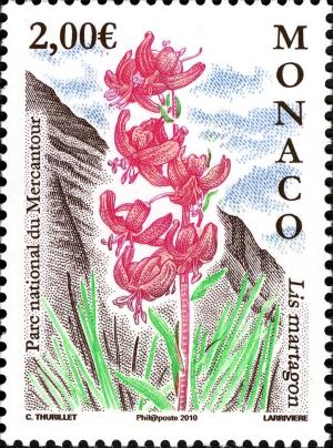 Colnect-1153-633-Turk--s-cap-lily-Lilium-martagon-Mercantour-National-Park.jpg
