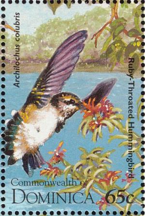 Colnect-1748-094-Ruby-throated-Hummingbird-Archilochus-colubris.jpg