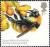 Colnect-2980-901-Great-Yellow-Bumblebee-Bombus-distinguendus.jpg