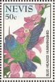 Colnect-1646-422-Blue-headed-Hummingbird-Cyanophaia-bicolor.jpg