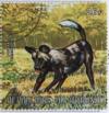 Colnect-1324-072-African-Hunting-Dog-Lycaon-pictus.jpg