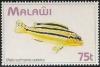 Colnect-1734-961-Golden-Mbuna-Melanochromis-auratus.jpg