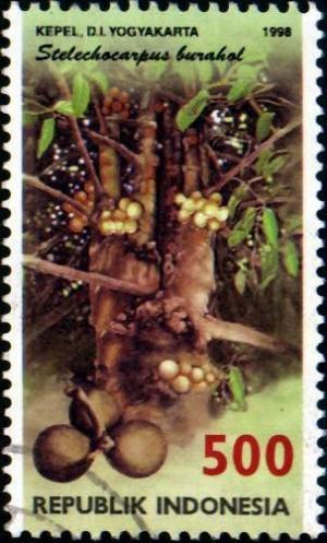 Colnect-940-832-Flora-and-Fauna--Stelechocarpus-burahol.jpg