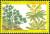 Colnect-2517-480-Euphorbia-tuckeyna.jpg
