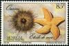 Colnect-1984-719-Sea-Urchin-and-Starfish.jpg