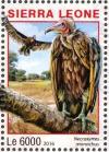 Colnect-3566-114-Hooded-Vulture---Necrosyrtes-monachus.jpg